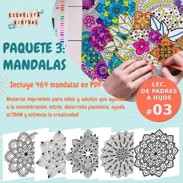 Cursos En Grupo Baratos 🏆 MegaBli.com