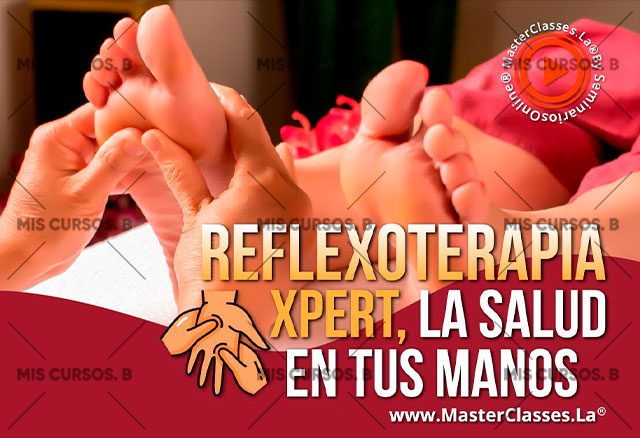 reflexoterapia xpert la salud en tu manos 6538e43c90514