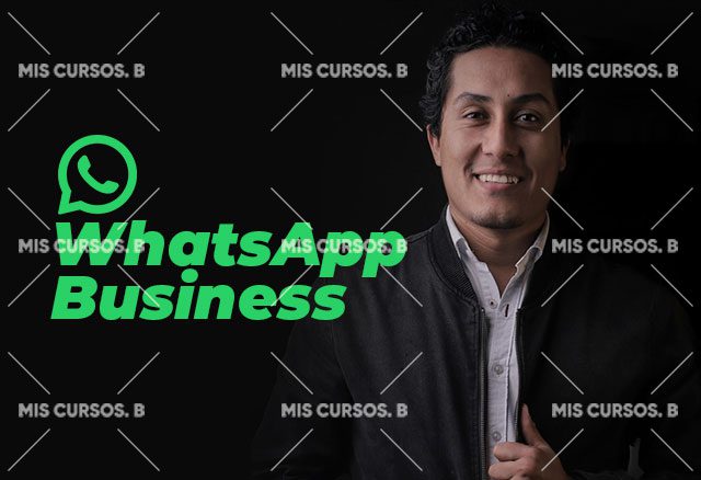 whatsapp business de diego vallejos 6538e1a8185a6