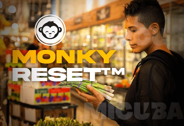 monkyreset transformacion integral 68297f2a8a12f