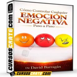 Cómo controlar cualquier emoción negativa paso a paso de David Barragán