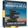 Curso Certificado de Midfulness. Niveles I, II, III & Master de David Bejarano